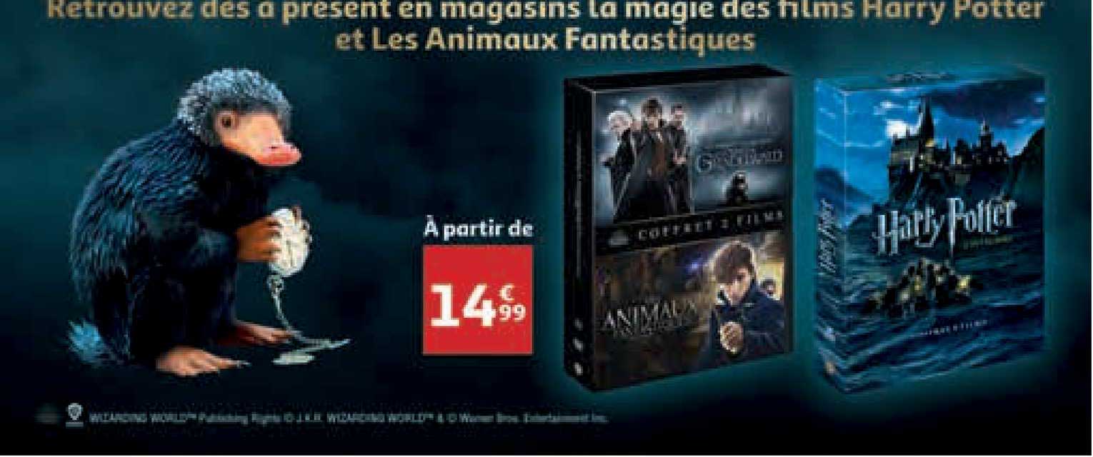 la magie des films harry potter et les animaux fantastiques