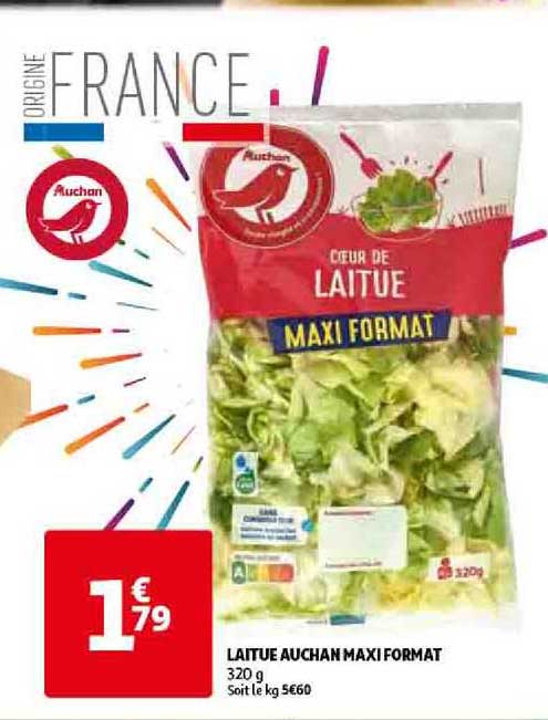 laitue auchan maxi format