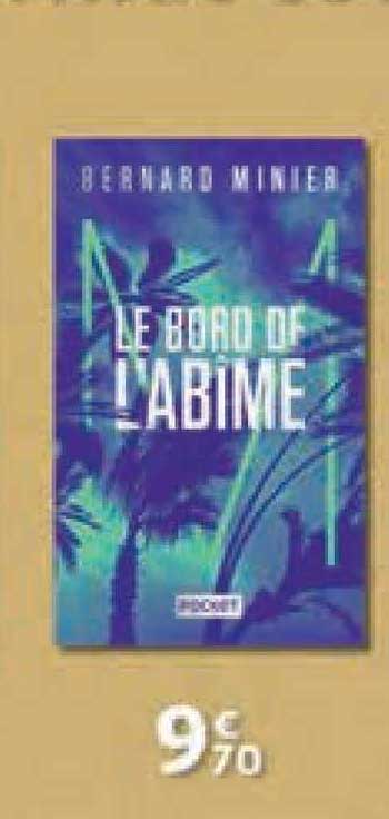 le bord de l'abîme bernard minier