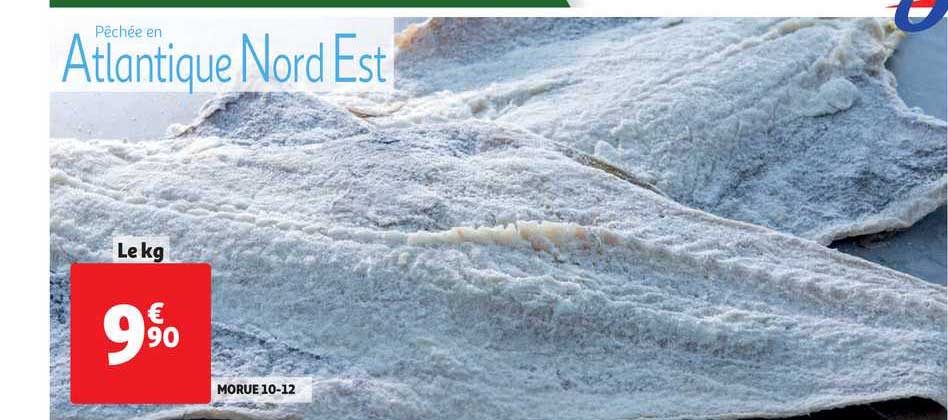 Morue 10 12