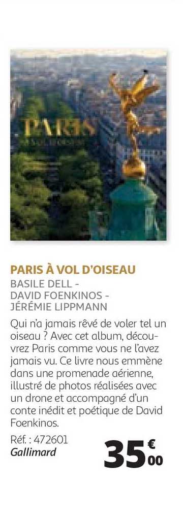 paris à vol d'oiseau basile dell- david  foenkinos - jérémie lippmann