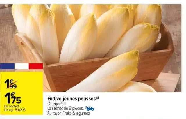 endive jeunes pousses