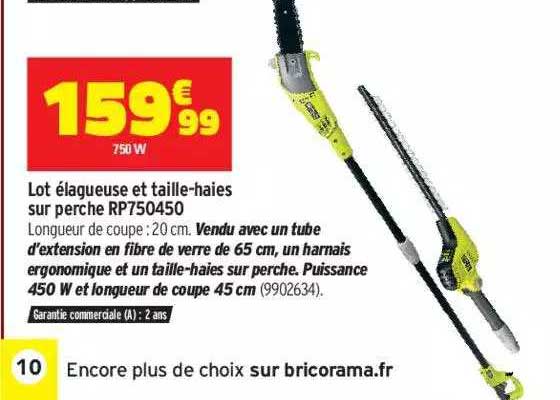 Lot élagueuse Et Taille-haies Sur Perche Rp750450