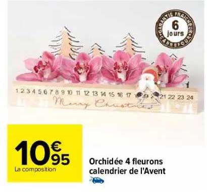 orchidée 4 fleurons calendrier de l'avent