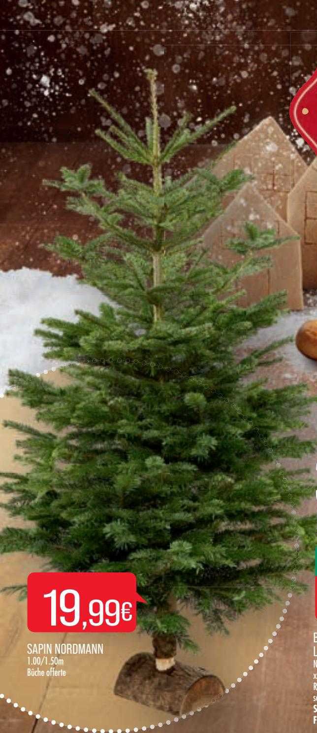 sapin nordmann