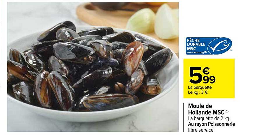 Moule De Hollande Msc