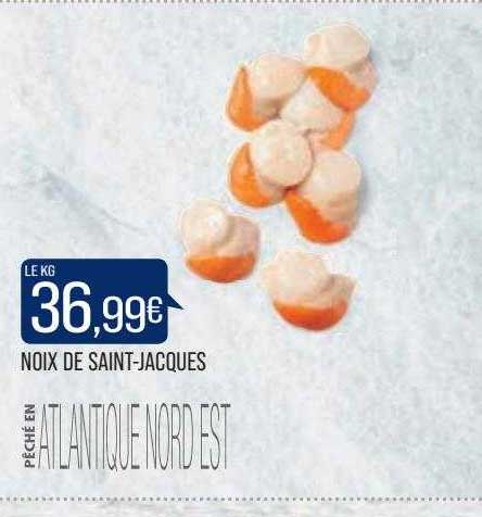 noix de saint-jacques
