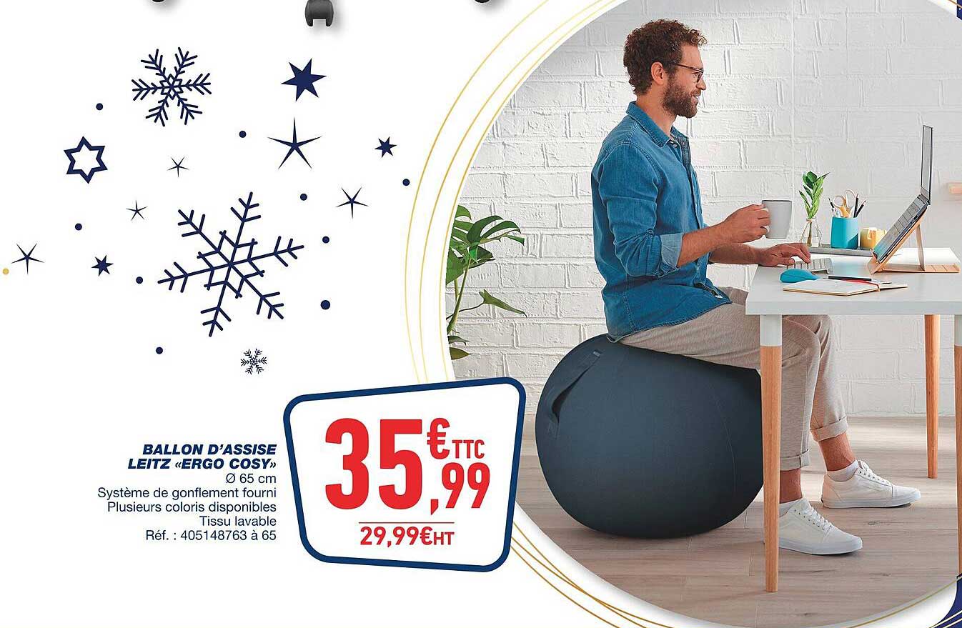 ballon d'assise leitz "ergo cosy"
