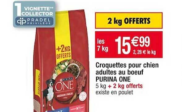 Croquetes Pour Chien Adultes Au Boeuf Purina One