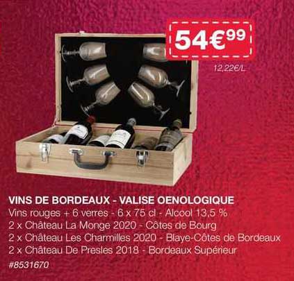 Vins De Bordeaux - Valise Oenologique