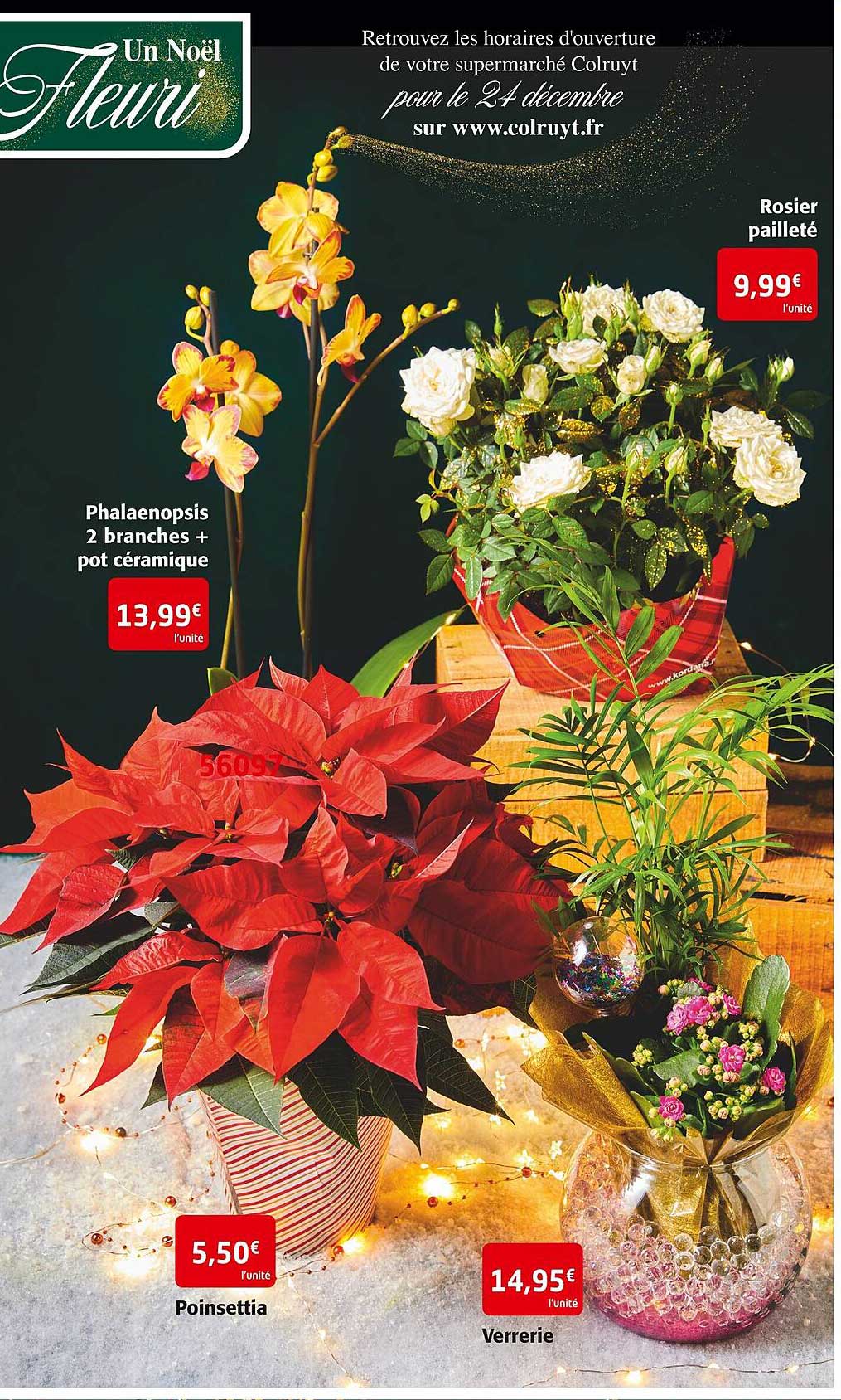 phalaenopsis 2 branches + pot céramique, rosier pailleté, poinsettia, verrerie