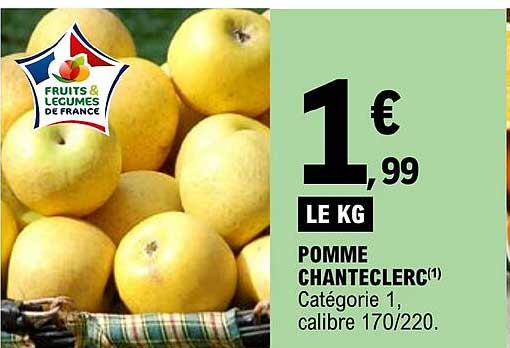 Pomme Chanteclerc