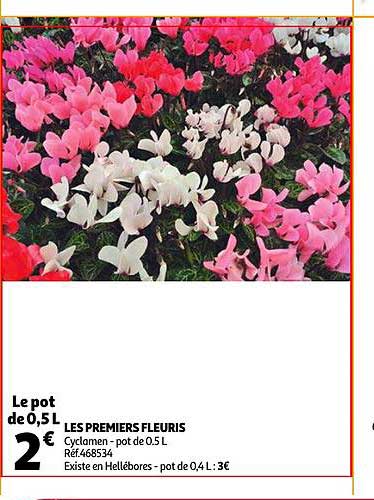 les premiers fleuris