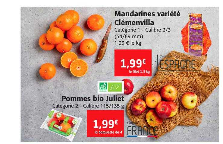 mandarines variété clémenvilla