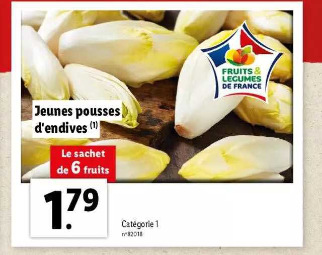 jeunes pousses d'endives