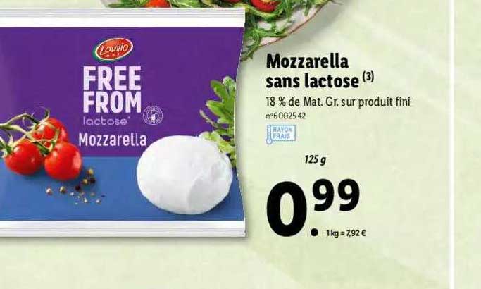 mozzarella sans lactose
