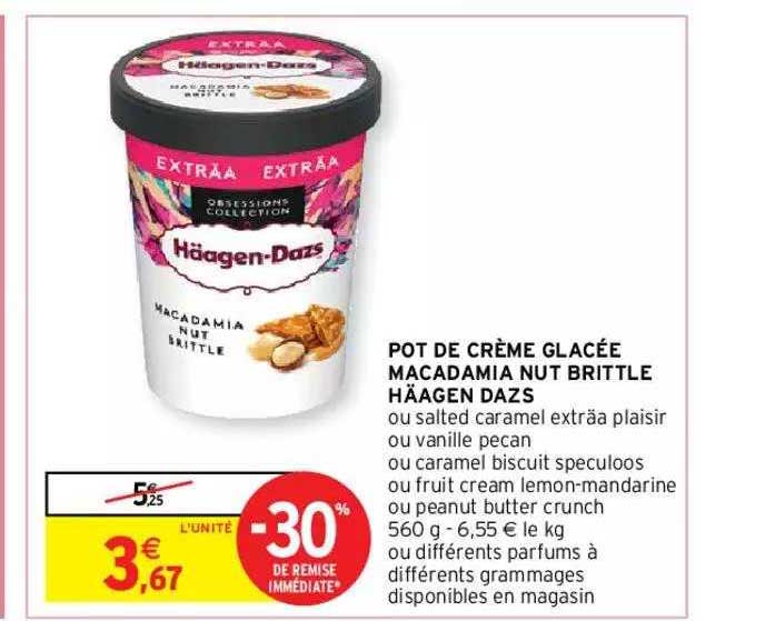 pot de crème glacée macadamia nut brittle häagen dazs