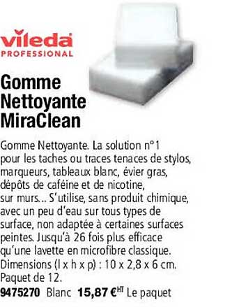 Gomme Nettoyante Miraclean Vileda Professional