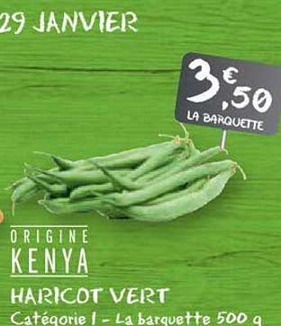 Haricot Vert