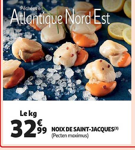 noix de saint-jacques