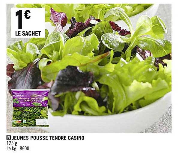 jeunes pousse tendre casino