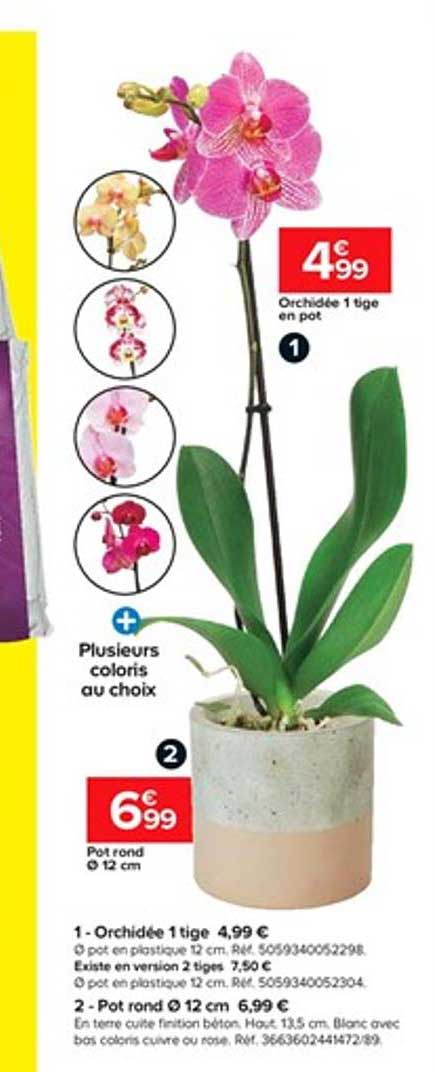 orchidée 1 tige pot rond
