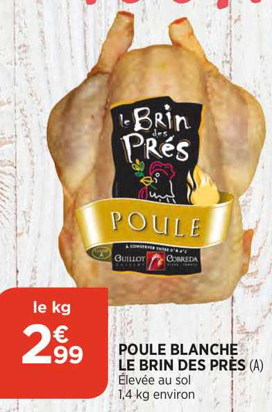 Poule Blanche Le Brin Des Près