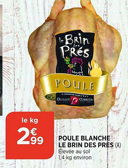 poule blanche le brin des près