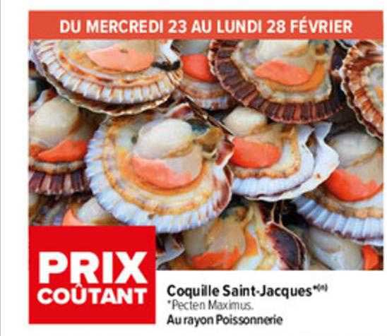 Coquille Saint-jacques