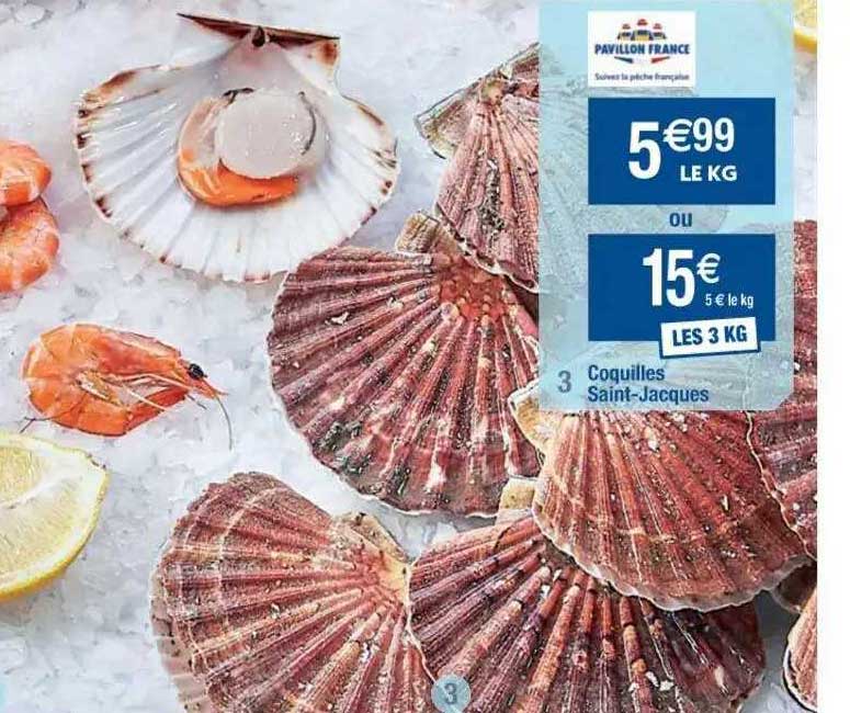 coquilles saint-jacques