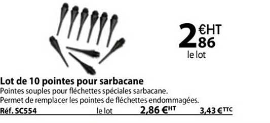 lot de 10 pointes pour sarbacane
