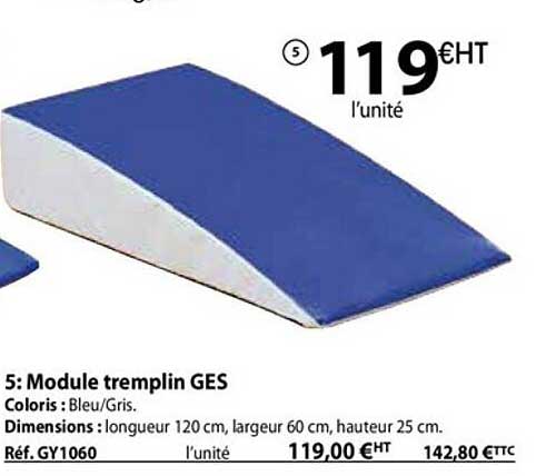 module tremplin ges