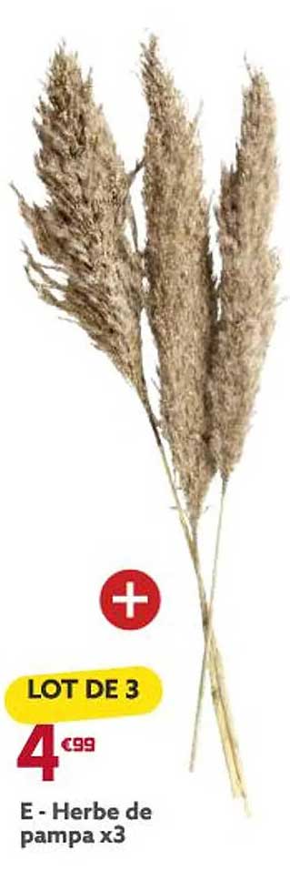 herbe de pampa x3