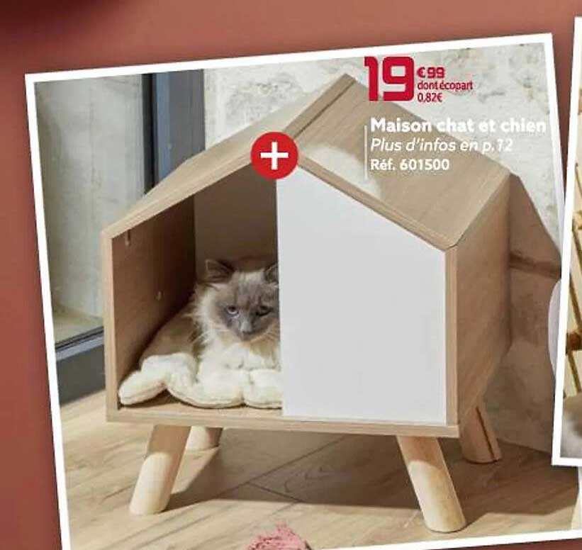 Maison Chat Et Chien