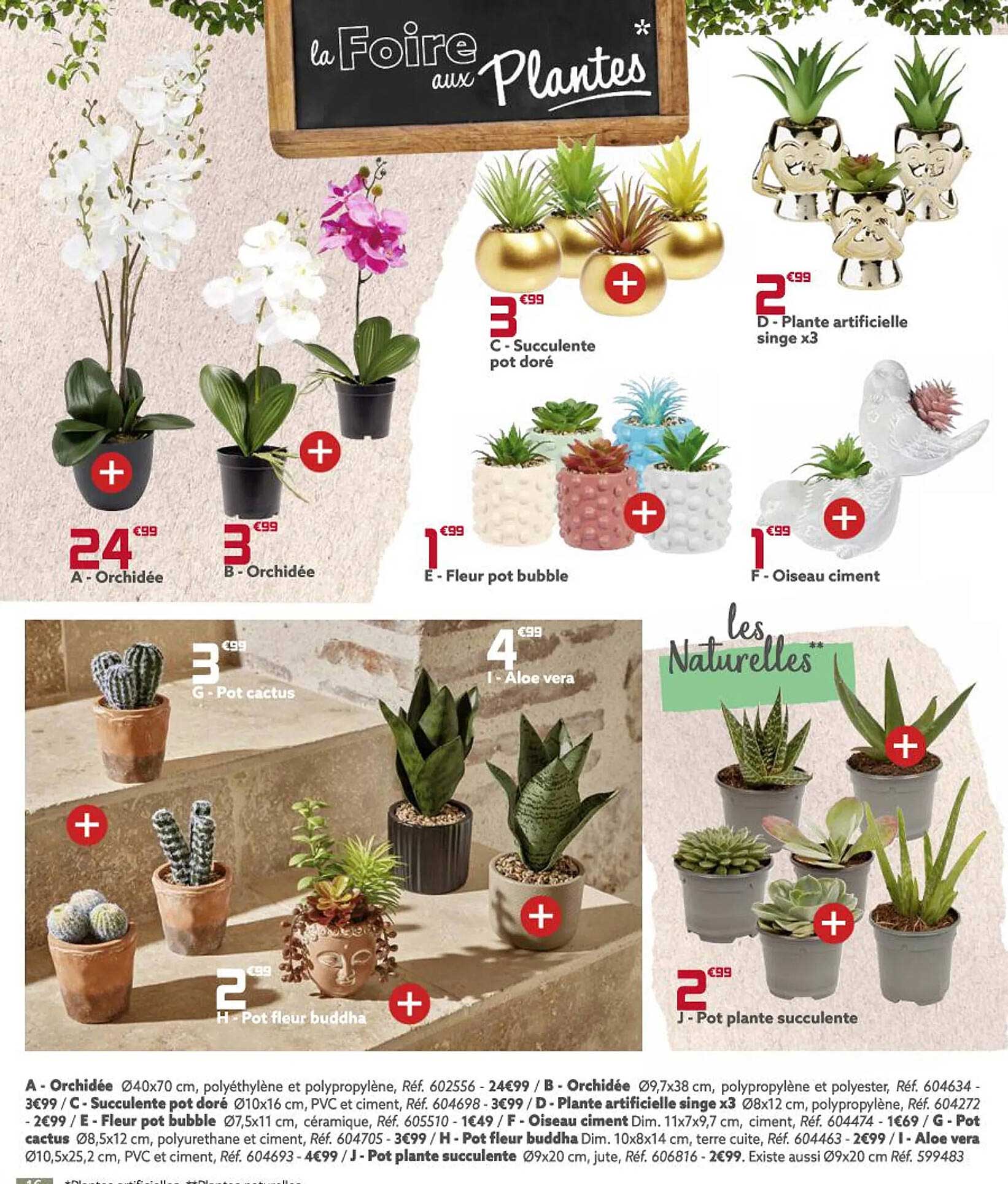 orchidée, fleur pot bubble, succulente pot doré, plante artificielle singe x3, oiseau ciment, pot cactus, aloé vera, pot fleur buddha, pot plante succulente, pot cactus