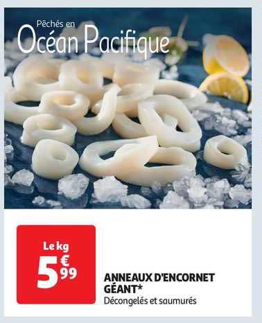 anneaux d'encornet géant