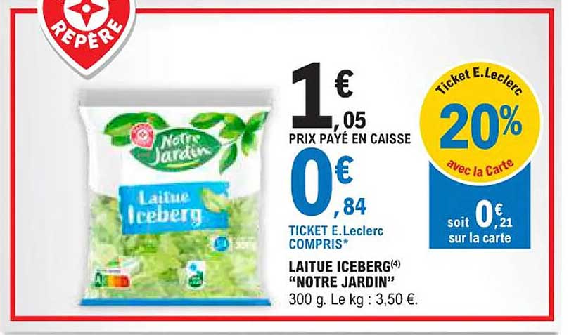 laitue iceberg "notre jardin"