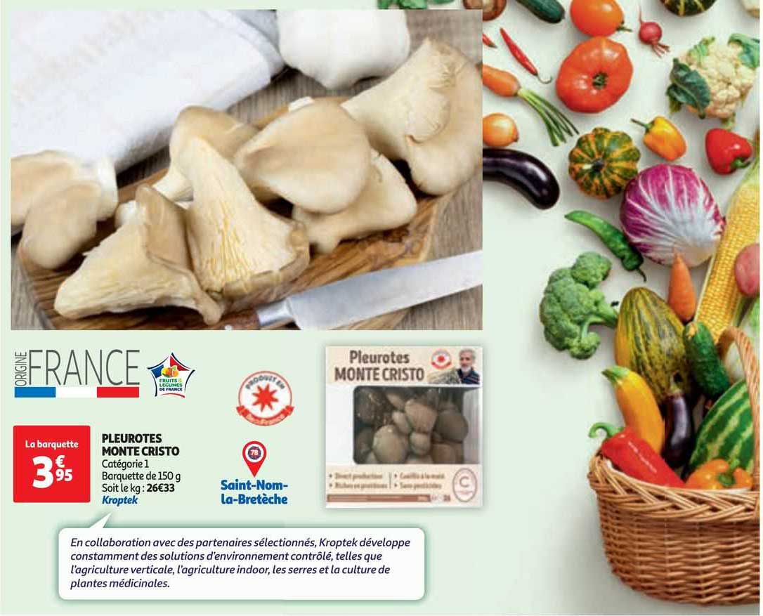 pleurotes monte cristo