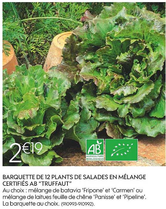 barquette de 12 plants de salades en élange certifiés ab "truffant"