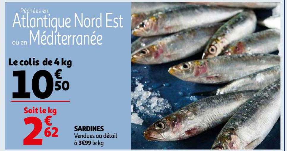 Sardines
