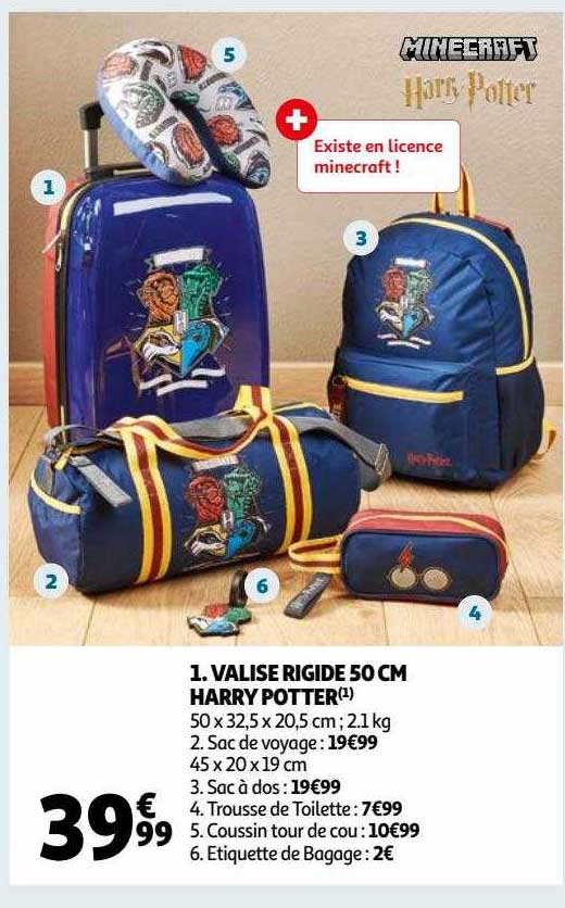 valise rigide 50 cm harry potter