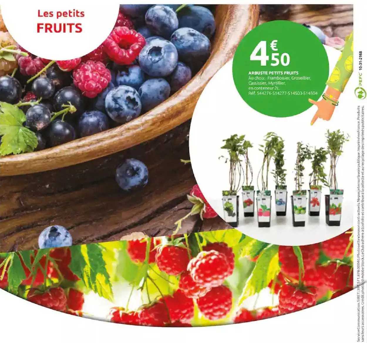 Arbuste Petits Fruits