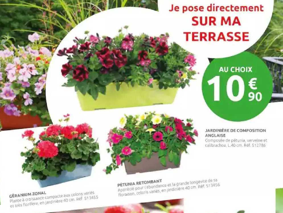 jardinière de composition anglaise, géranium zonal, pétunia retombant