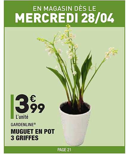 muguet en pot 3 griffes gardenline