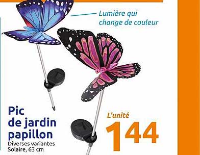 pic de jardin papillon