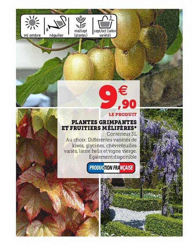 plantes grimpantes et fruitiers mélifères