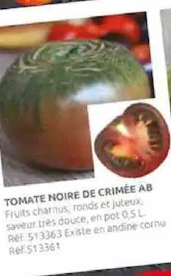 tomate noire de crimée ab