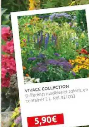 vivace collection
