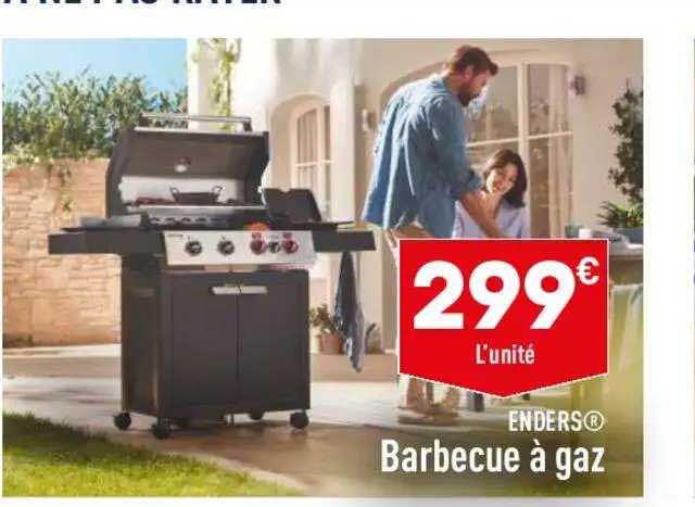 barbecue à gaz enders