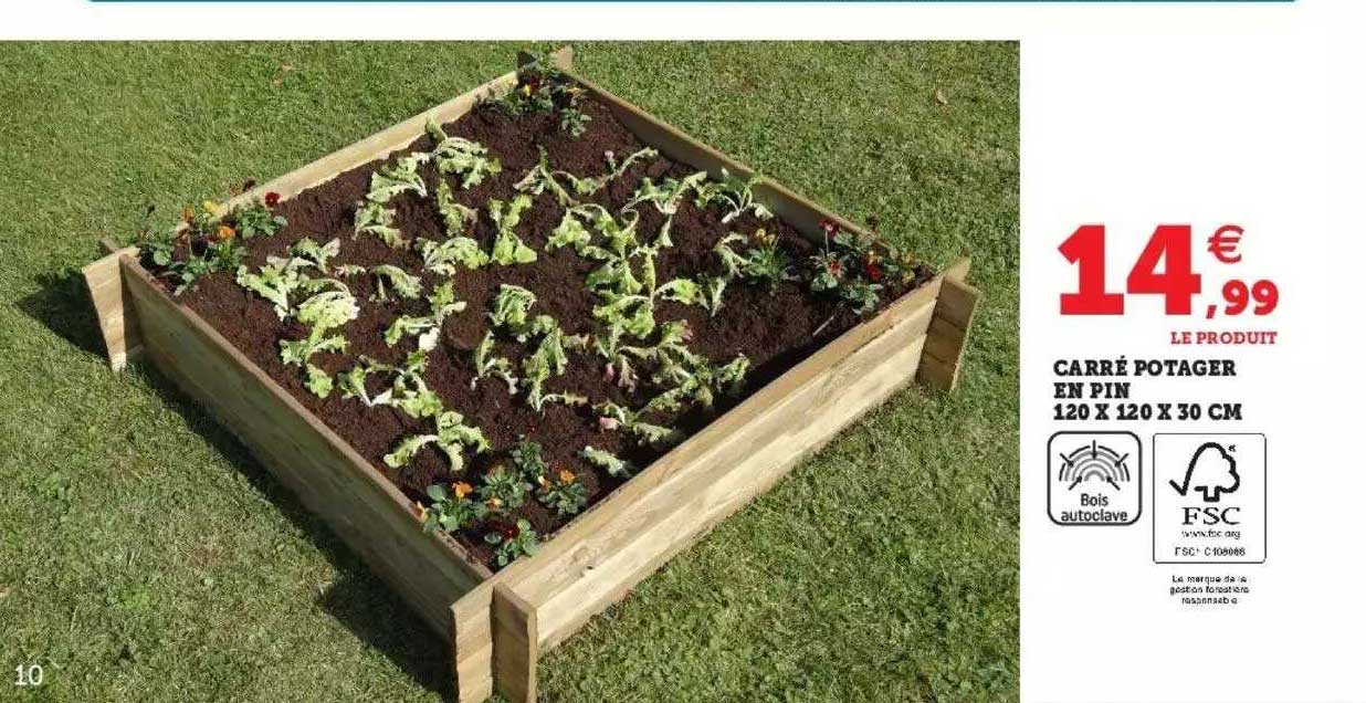 Carré Potager En Pin 120 X 120 X 30 Cm